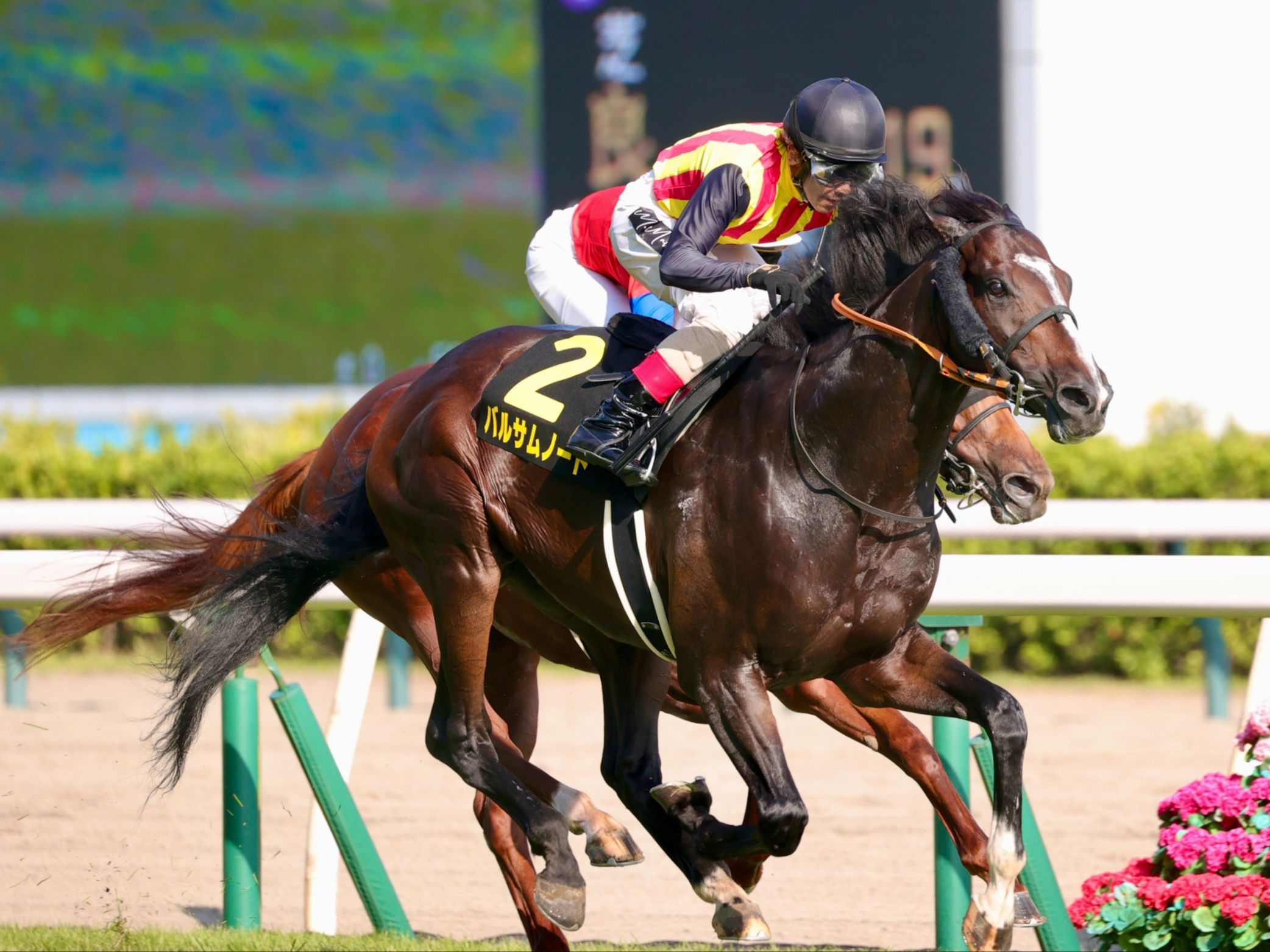 骑马队全队备战下场比赛,决心取得全面胜利的简单介绍 骑马队全队备战下场比赛,决心取得全面胜利的简单介绍