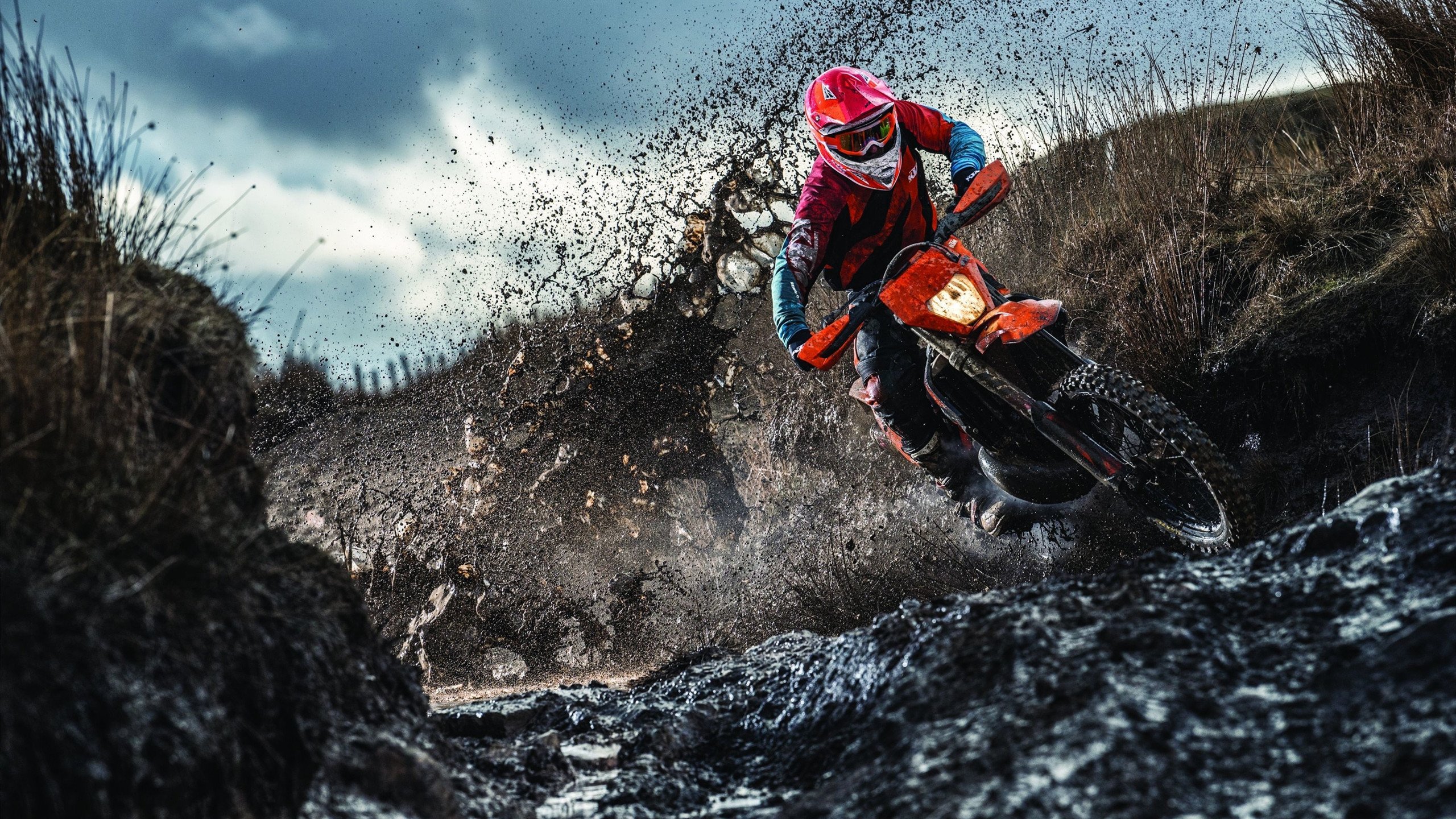 黄喜灿，舞台越大越强，爱尔兰战术压制新西兰