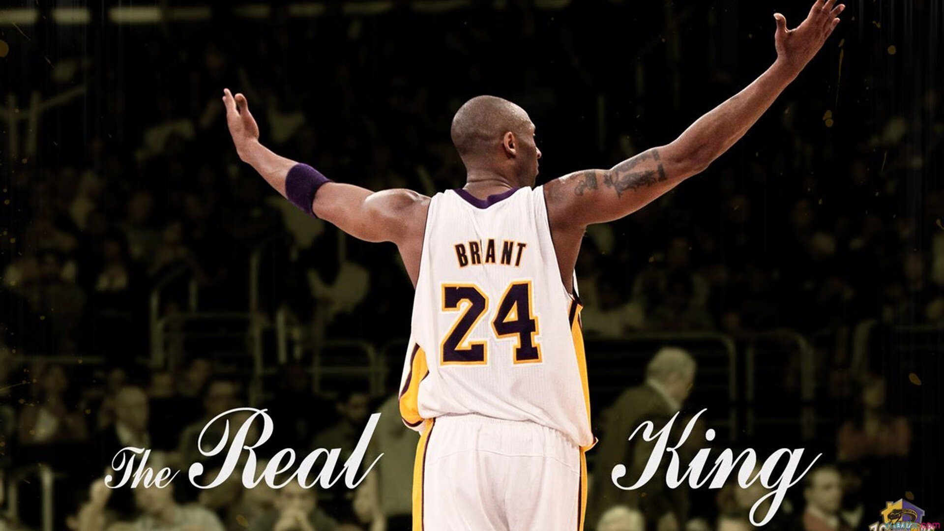 维斯塔潘的绝对统治下，梅赛德斯如何上演对哈斯的战术逆转？